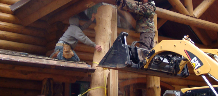 Log Home Log Replacement  Westerville, Ohio