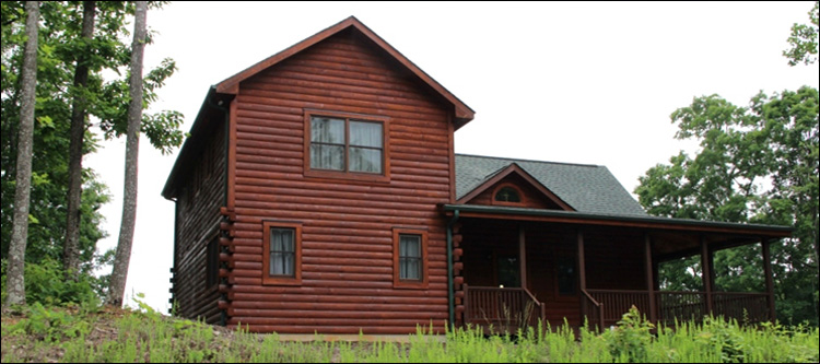 Professional Log Home Borate Application  Franklin County, Ohio