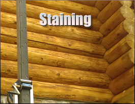  Franklin County, Ohio Log Home Staining